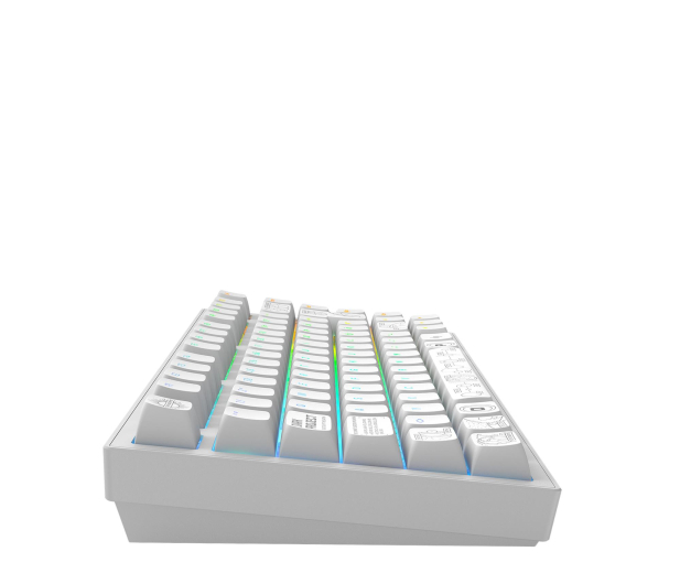 DARK PROJECT ALU81A Terra Nova White ISO DE Multilingual Support - 1456418 - zdjęcie 2